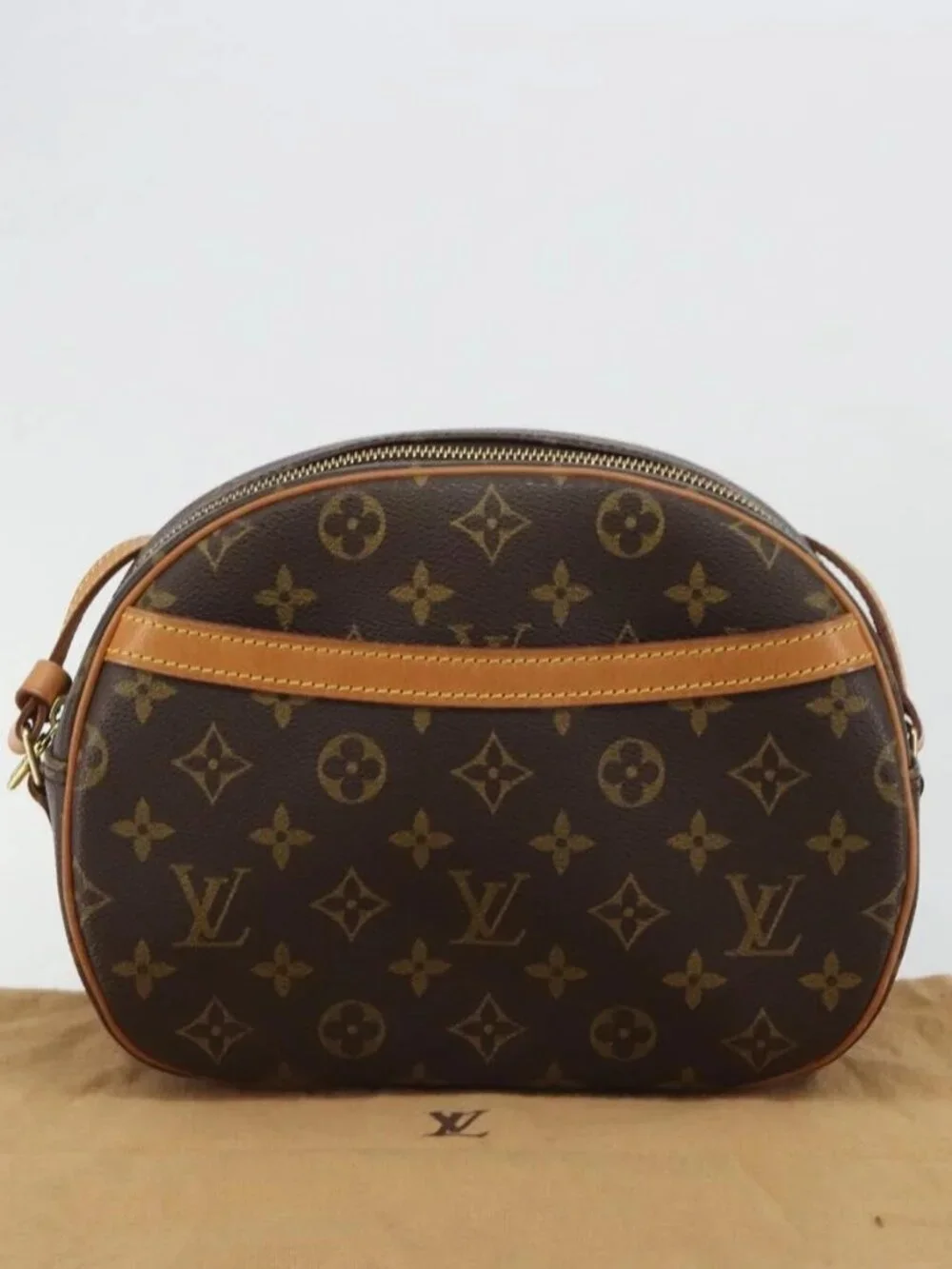 LOUIS VUITTON Monogram Blois Shoulder Bag M51221 LV Auth 188394SAV
